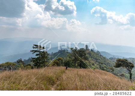 Mountain landscape with cloud sky 28485622