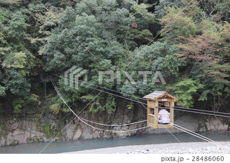 野猿(奈良県 吉野郡 十津川村) 野猿(奈良県 吉野郡 十津川村) 28486060