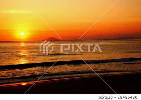 伊豆半島　朝焼け　伊豆利島　白浜・大浜海水浴場　静岡県 下田市 28486430