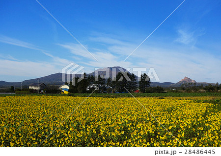 有珠山と昭和新山　 28486445