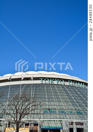 東京ドーム 28486530