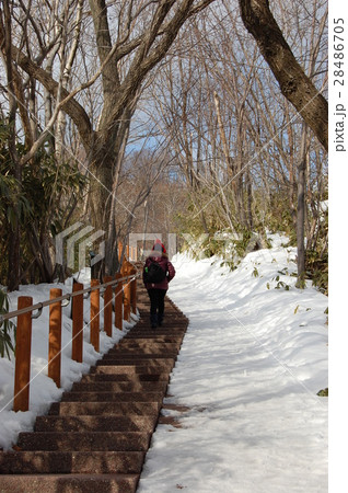 北海道 雪 スノー 28486705