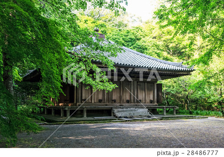新緑の富貴寺 新緑の富貴寺 28486777