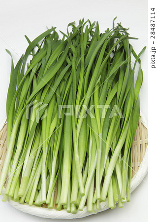 ニラの写真素材