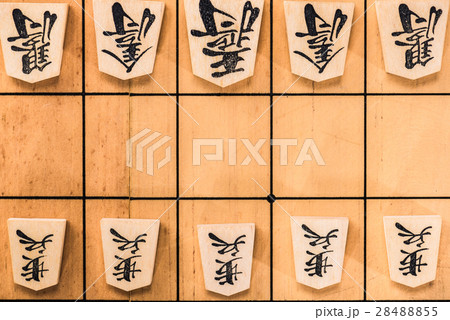 将棋 将棋 28488855