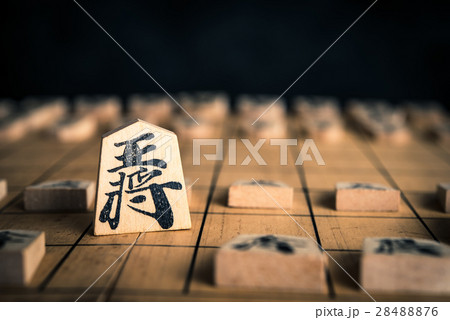 将棋 28488876