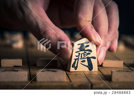 将棋 28488883