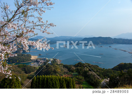 いろは島 いろは島 28489303