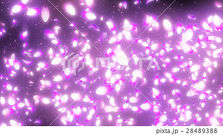 桜吹雪イメージのイラスト素材 2843