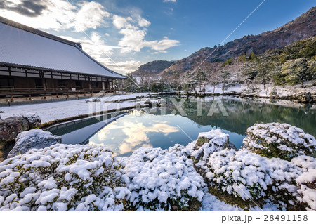 冬の天龍寺 28491158