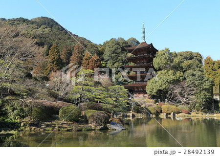 瑠璃光寺 五重塔 瑠璃光寺 五重塔 28492139