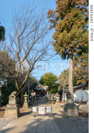 山王稲穂神社 28493606