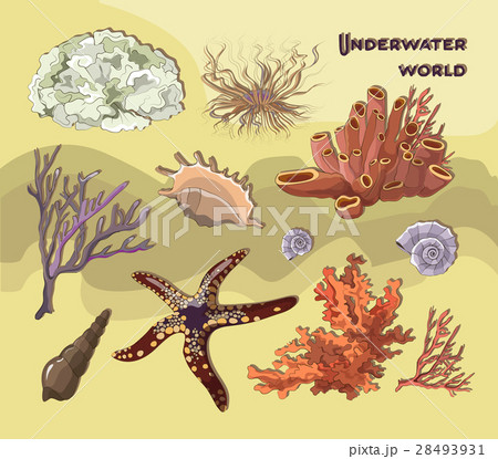 Set of underwater objects Set of underwater objects 28493931