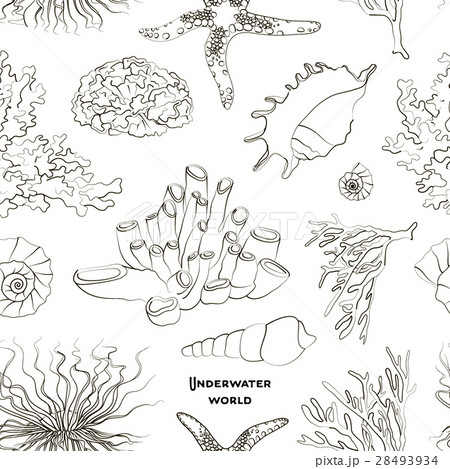 Pattern of underwater objects 28493934