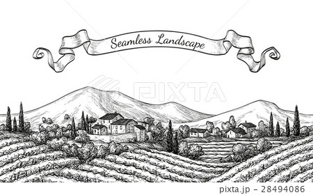 Vineyard seamless landscape. Vineyard seamless landscape. 28494086