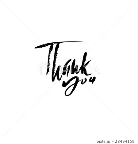 Thank You handwritten inscription. Hand drawn 28494159