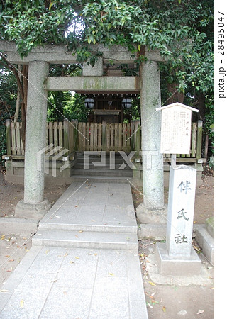 末社･伴氏社（北野天満宮／京都市上京区） 28495047