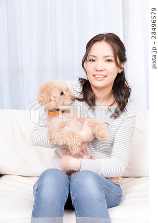 犬 抱く ペットの写真素材
