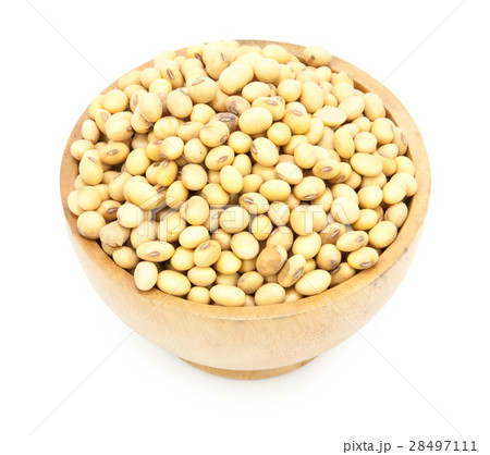 Dried soybean on cup Dried soybean on cup 28497111