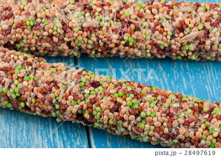 food for parrots on a stick blue wooden background 28497619