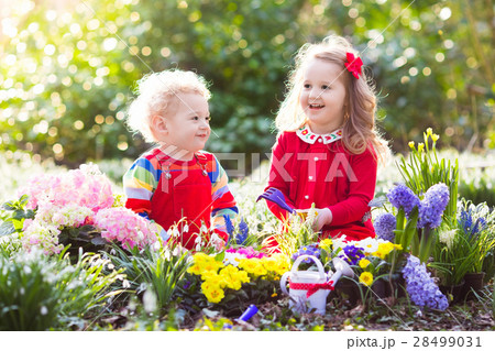 Kids plant and water flowers in spring garden Kids plant and water flowers in spring garden 28499031