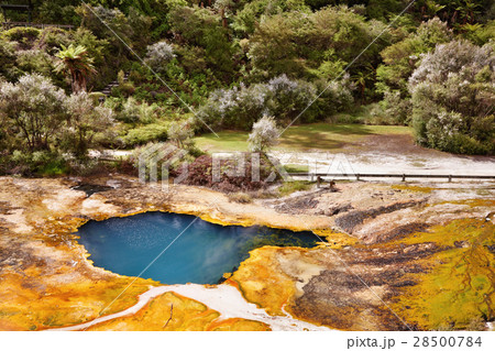 Orakei Korako geotermal valley 28500784