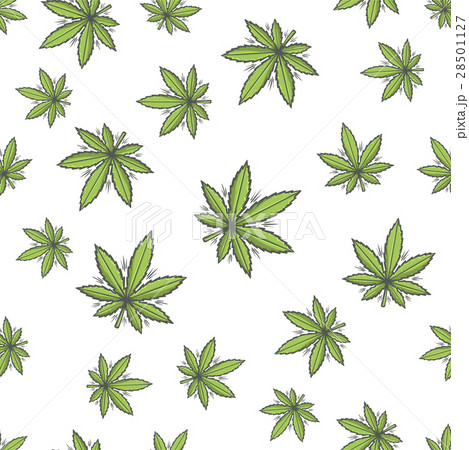 Seamless Texture Marijuana Three 28501127