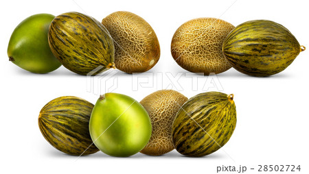 Melon isolated on white Melon isolated on white 28502724