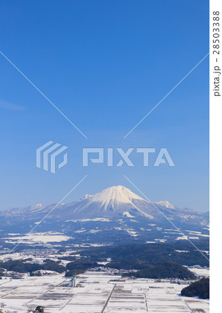 母塚山展望台から見た冬の大山 母塚山展望台から見た冬の大山 28503388