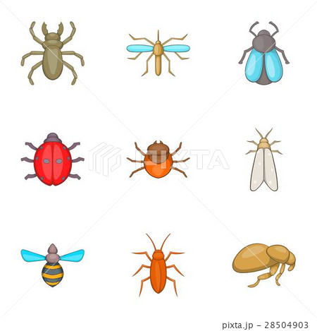 Order of insects icons set, cartoon style Order of insects icons set, cartoon style 28504903