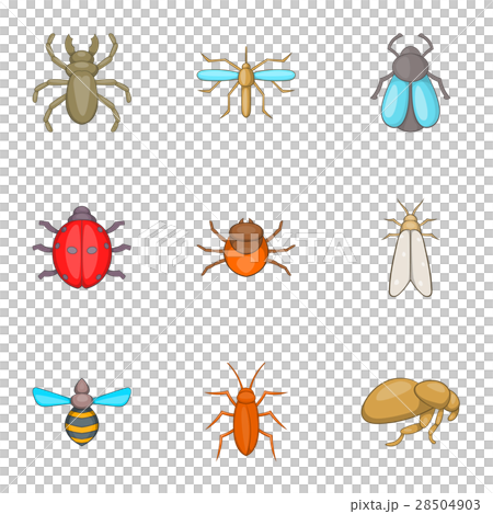 Order of insects icons set, cartoon style Order of insects icons set, cartoon style 28504903