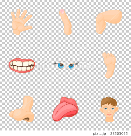 Body parts icons set, cartoon styleのイラスト素材 [28505055] - PIXTA