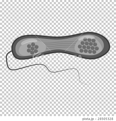 Infusorium icon, gray monochrome style 28505328