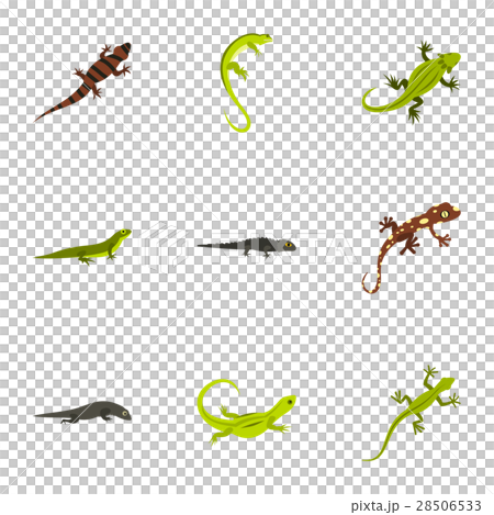 Iguana icons set, flat style Iguana icons set, flat style 28506533