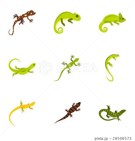 Types of iguana icons set, flat style Types of iguana icons set, flat style 28506573
