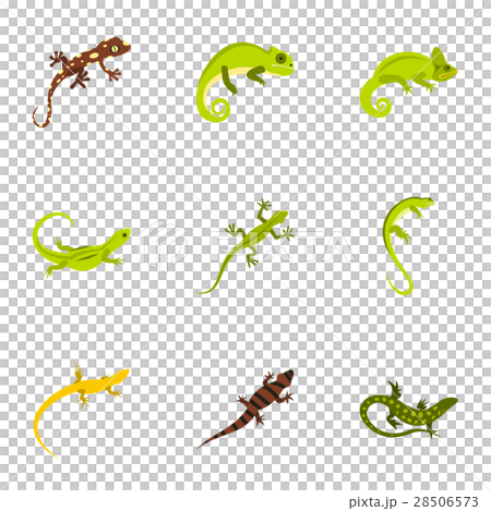Types of iguana icons set, flat style Types of iguana icons set, flat style 28506573