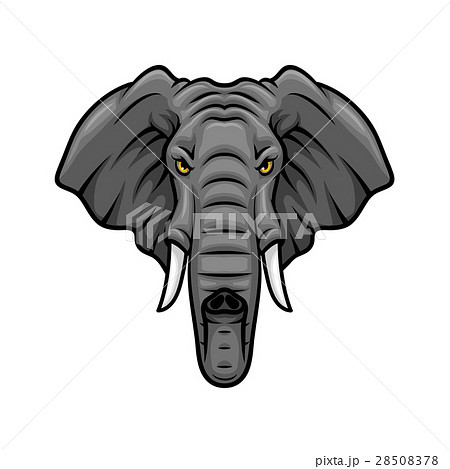 Elephant head, tusks and trunk vector mascot icon 28508378