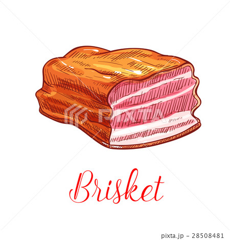 Brisket meat vector sketch isolated icon 28508481