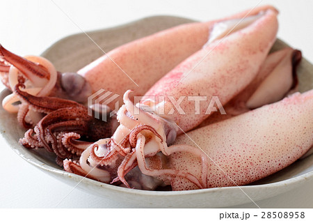 ボイルやりいか 28508958