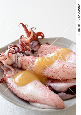 ボイルやりいか 28508962