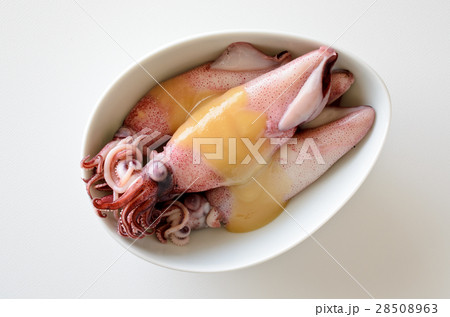 ボイルやりいか 28508963