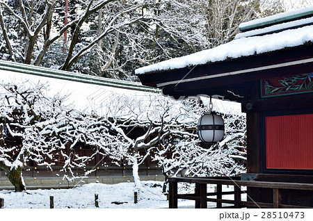 京都　北野天満宮の雪景色 28510473