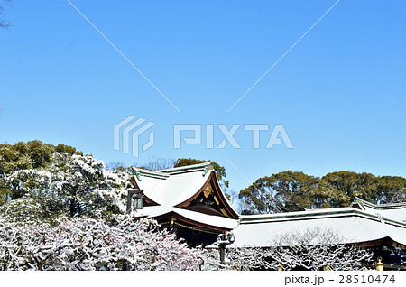 京都　北野天満宮の雪景色 28510474