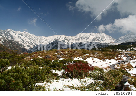 秋から冬へ 立山連峰 秋から冬へ 立山連峰 28510893
