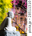 仏像と花 28511310