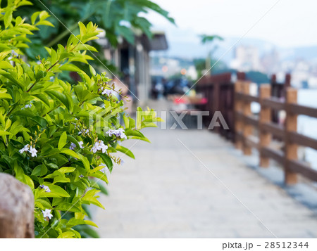 公園 パーク 園 28512344