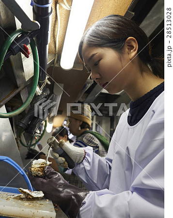 牡蠣打ち体験 28513028