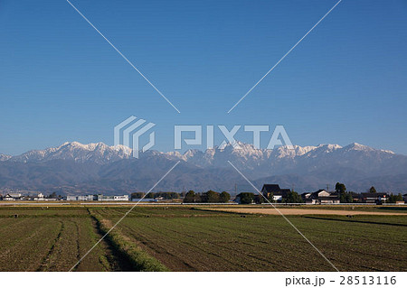 立山連峰の毛勝山、剣岳、雄山、奥大日岳を望む、富山県滑川市 28513116