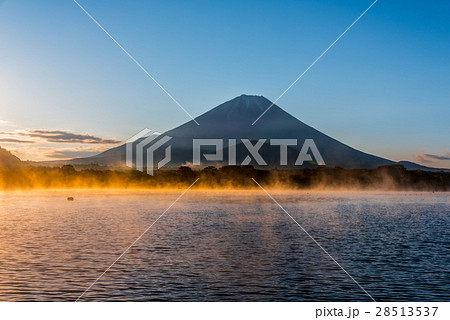 富士山　朝霧 28513537