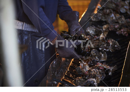 広島　水産加工工場　牡蠣　作業 28513553